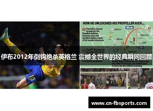 伊布2012年倒钩绝杀英格兰 震撼全世界的经典瞬间回顾