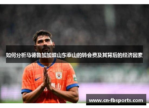 如何分析马德鲁加加盟山东泰山的转会费及其背后的经济因素