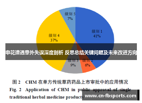 申花遭遇意外失误深度剖析 反思总结关键问题及未来改进方向
